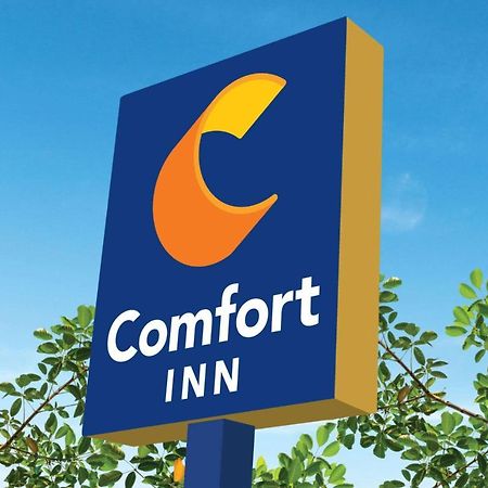 Comfort Inn Martinsville Exterior foto